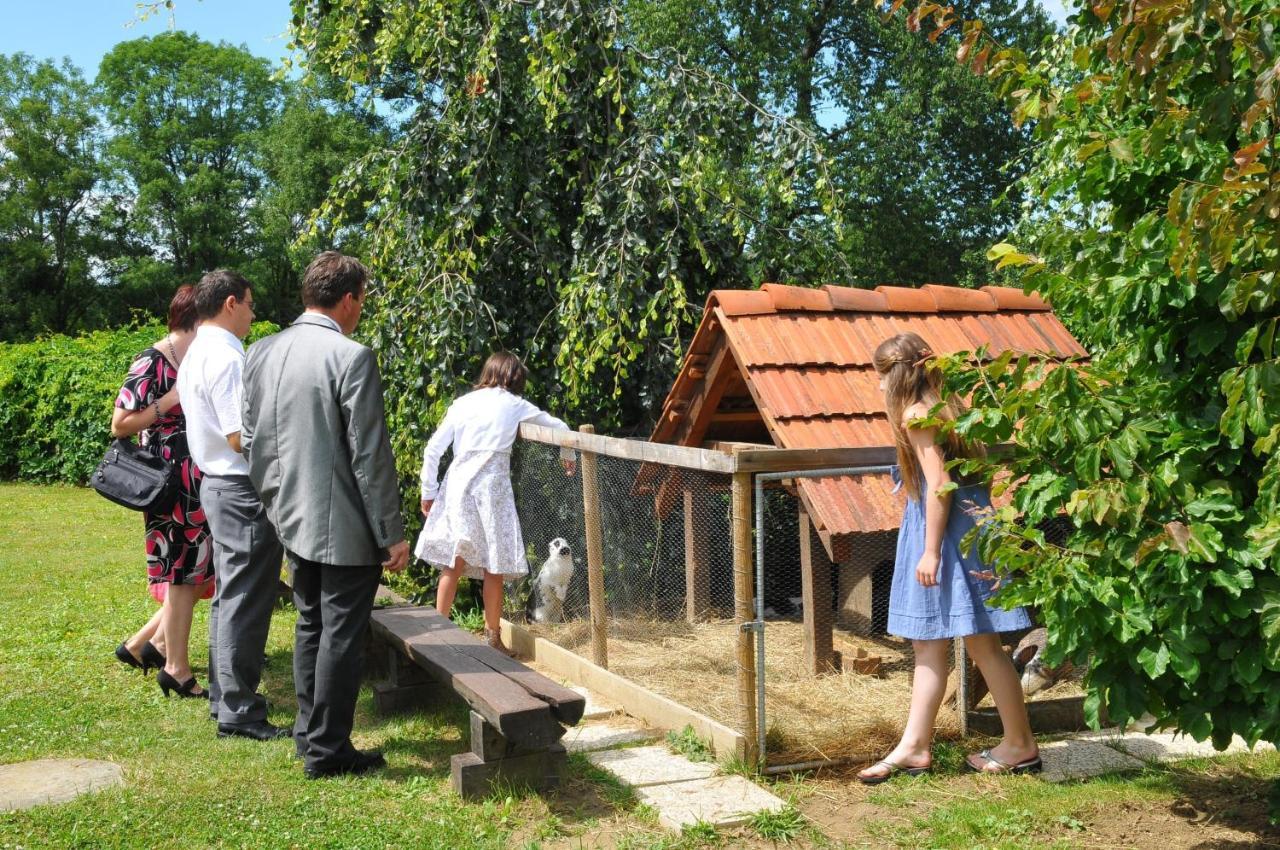 Gostisce - Guest House Stari Hrast Ljutomer Bagian luar foto